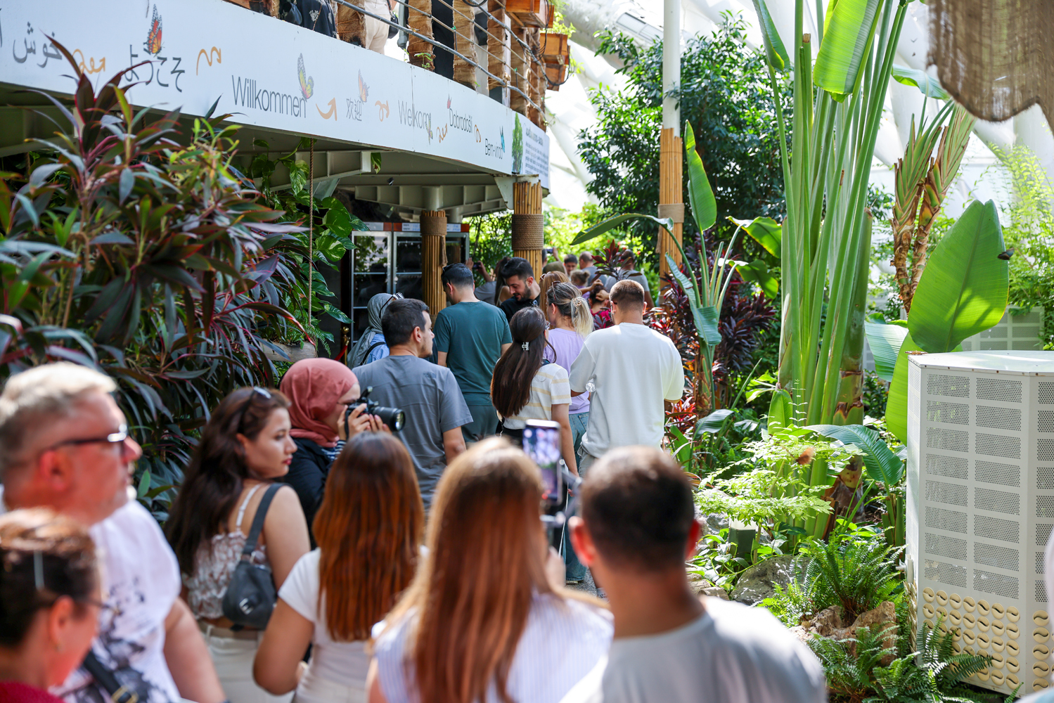 Kelebekler bahçesine rekor ziyaretçi