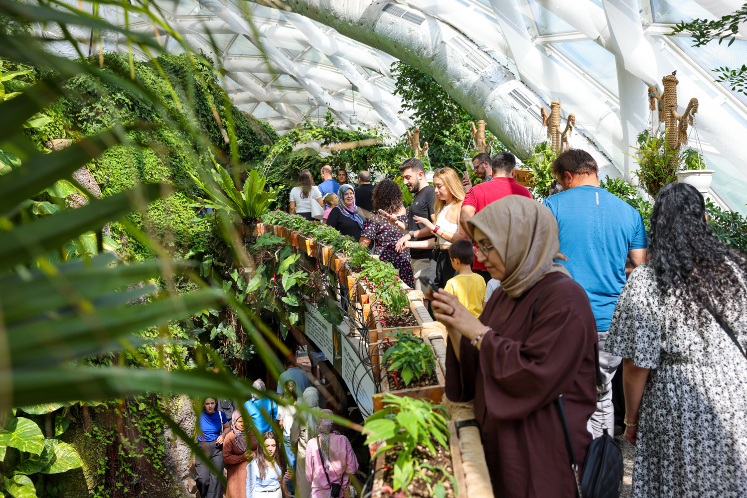 Kelebekler bahçesine rekor ziyaretçi