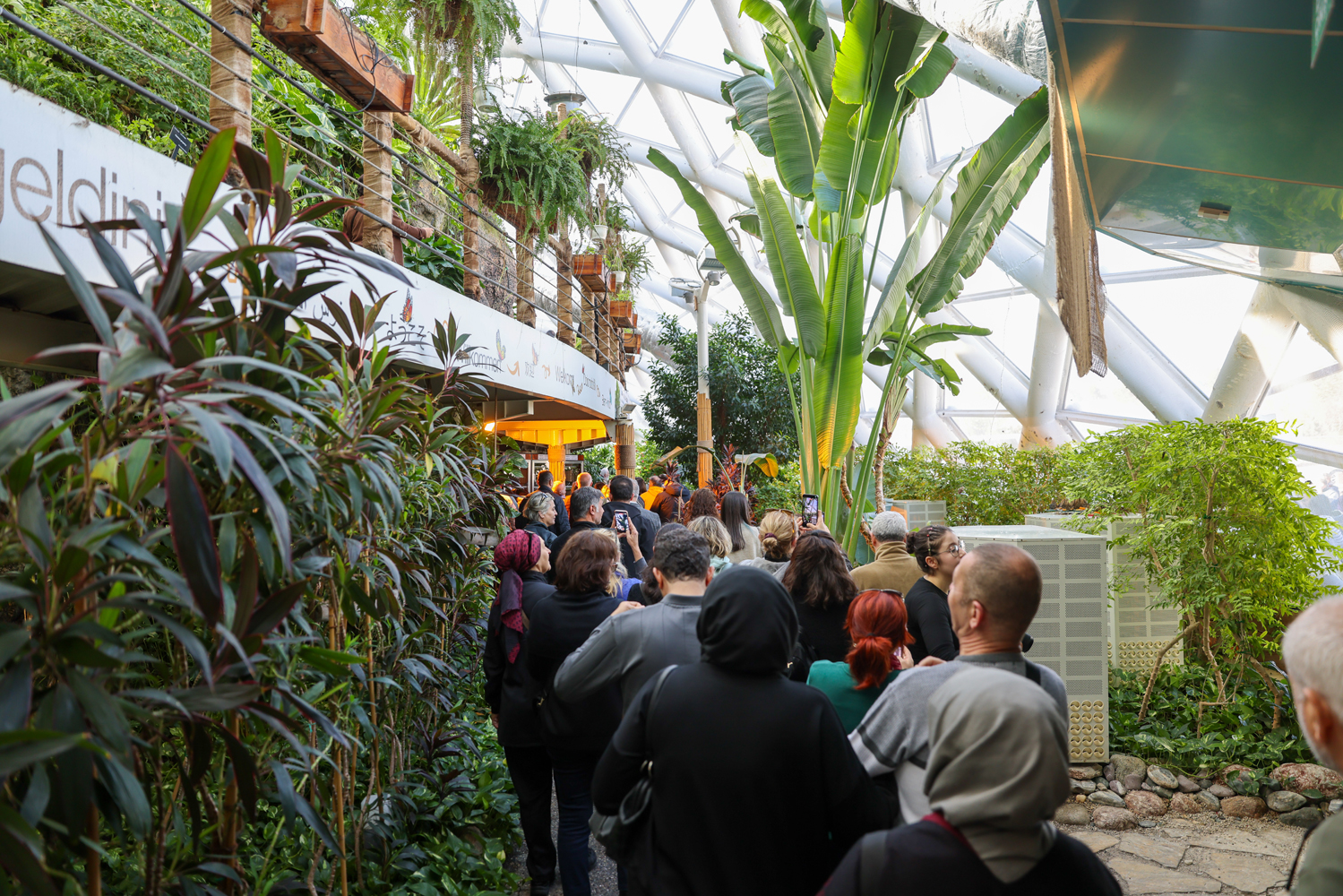 Kelebekler bahçesine rekor ziyaretçi