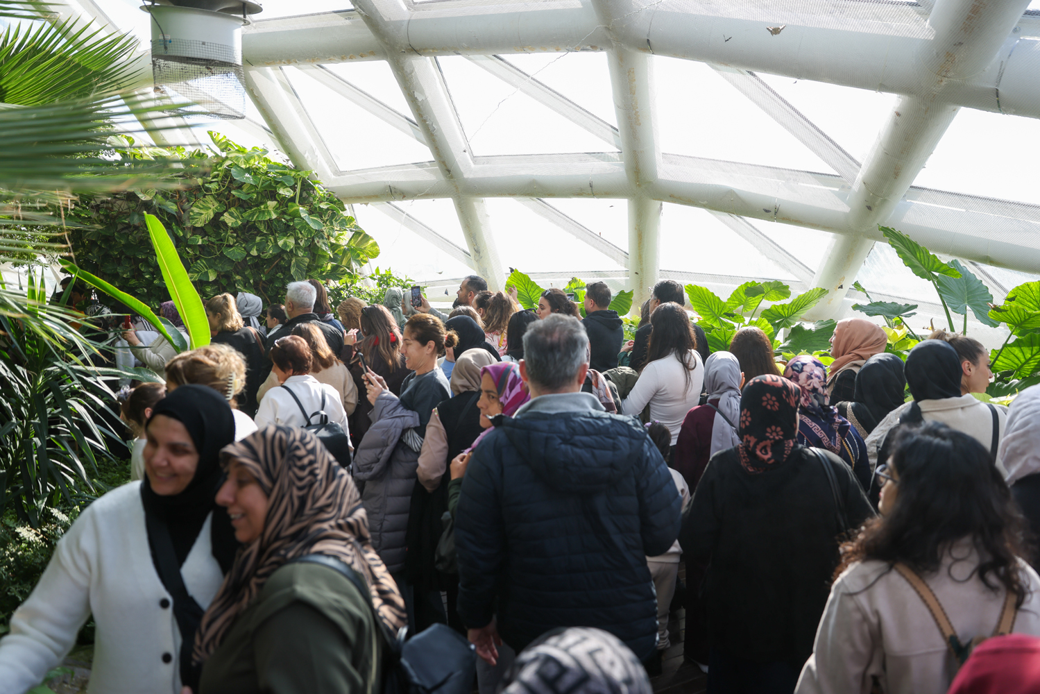 Kelebekler bahçesine rekor ziyaretçi