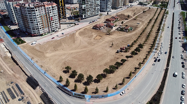 Nakledilen Ağaçlar Bu Parkta Yeşeriyor