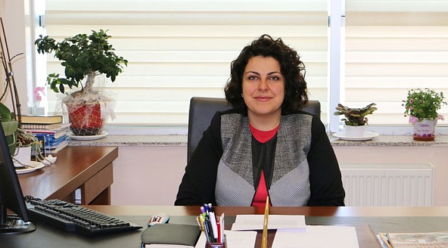 Yenilenebilir Kaynaklar,  Önemli Bir Potansiyele Sahip