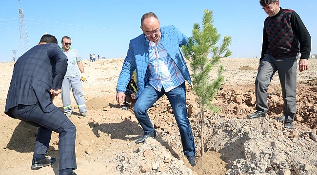 Her doğan için bir fidan
