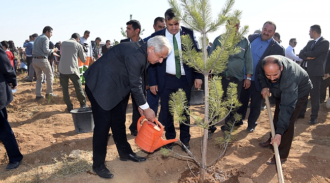 KOSKİ’DEN “Geleceğe Nefes” İÇİN 42 BİN FİDAN 
