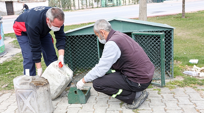  Evde kalan hayvanseverlerin aklı sokak hayvanlarında kalmasın