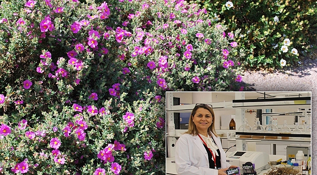 KGTÜ'nden ruhsatlı ilk yerli ürün piyasada