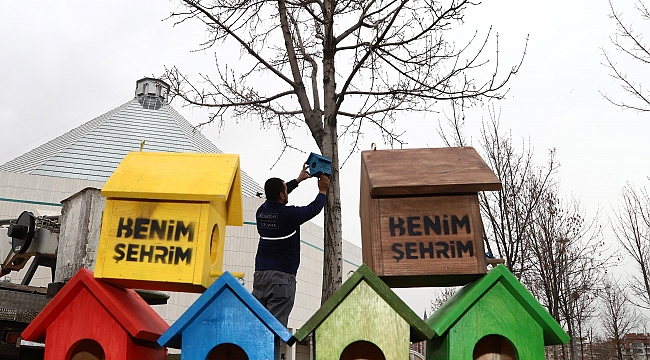 Şehir Geneline Kuş Evleri Monte Edildi