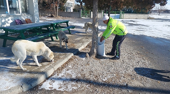 Polis sokak hayvanlarını besledi