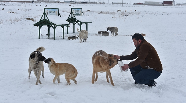 Sokak hayvanları unutulmadı
