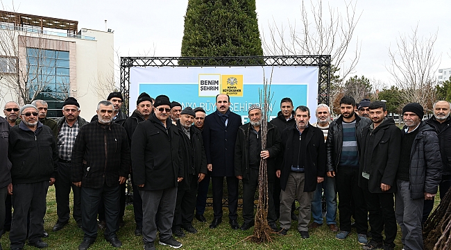 Altay: “Çiftçilere 115 fidan dağıtacağız"   