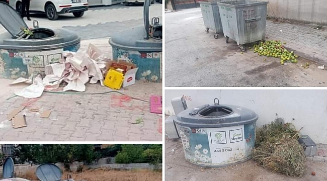 Belediye Başkanı da isyan etti..