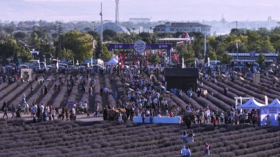 Lavanta Festivaline ziyaretçi rekoru