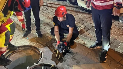 Yürekleri ısıtan kurtarma!