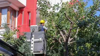 Park ve bahçeler kışa hazırlanıyor