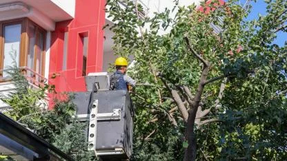 Park ve bahçeler kışa hazırlanıyor