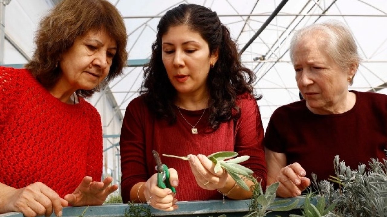 Antalya’da &#039;Tıbbi ve Aromatik Bitki Yetiştiriciliği&#039; kursu ilgi görüyor