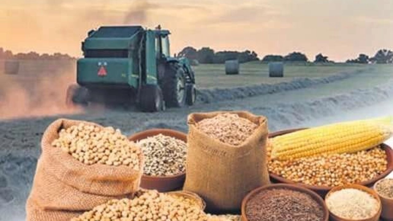 Arpa ve mısır ithalatında tarife kontenjanı güncellendi