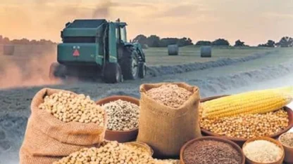 Arpa ve mısır ithalatında tarife kontenjanı güncellendi