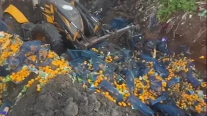 Artvin Sarp Sınır Kapısı'nda 6,1 ton mandalina imha edildi!