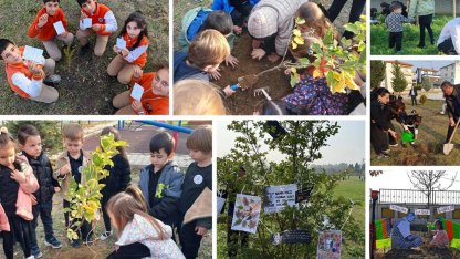 Atatürk'ten ilhamla yeşil vatan... Okullarda fidanlar Atatürk ve vatan sevgisi mesajlarıyla toprakla buluştu