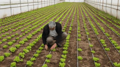 Balıkesir Büyükşehir'den üreticilere tam destek