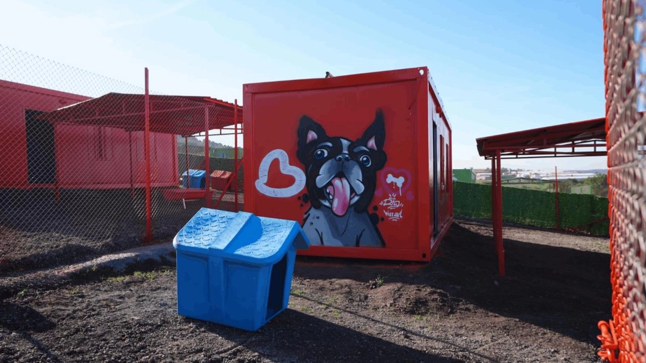 Balıkesir’de can dostlar için doğal yaşam alanı