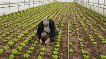 Balıkesir’de “Tarım Modeli” ile çiftçiye destek