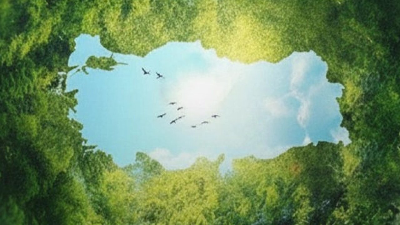 Burhanettin Duran&#039;dan Çanakkale’de hatıra ormanı paylaşımı