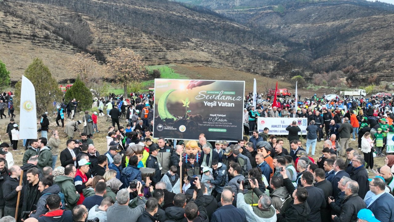 Bursa Gürsu’da yangın bölgesi yeniden hayat buluyor