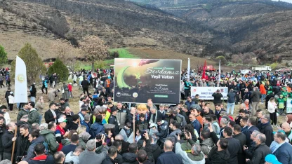 Bursa Gürsu’da yangın bölgesi yeniden hayat buluyor