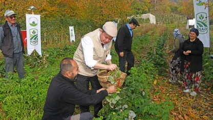 Bursa Osmangazi’de üzümsüz meyvelerde organik seferberlik... İlk hasat Başkan Aydın’dan