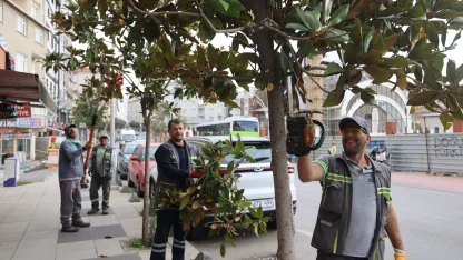 Çayırova’da mevsimlik budamalar başladı