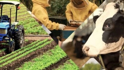 Çiftçiye 1,5 milyar TL destek hesaplarda