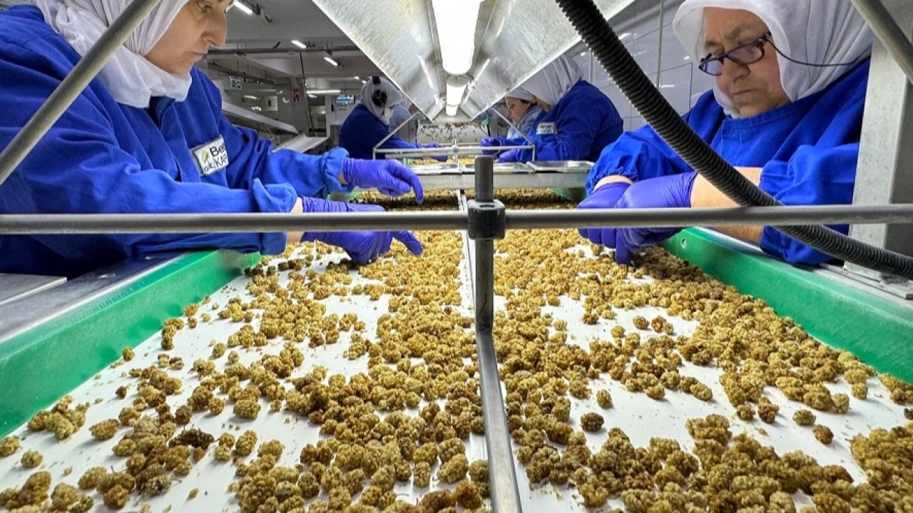 Çin’de organik sektörü 15 milyar dolarlık hacme ulaştı