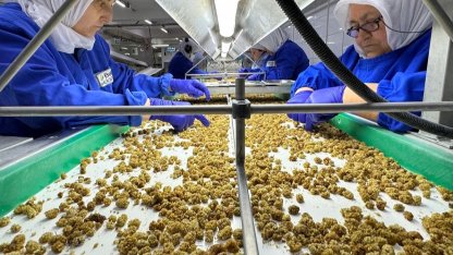 Çin’de organik sektörü 15 milyar dolarlık hacme ulaştı