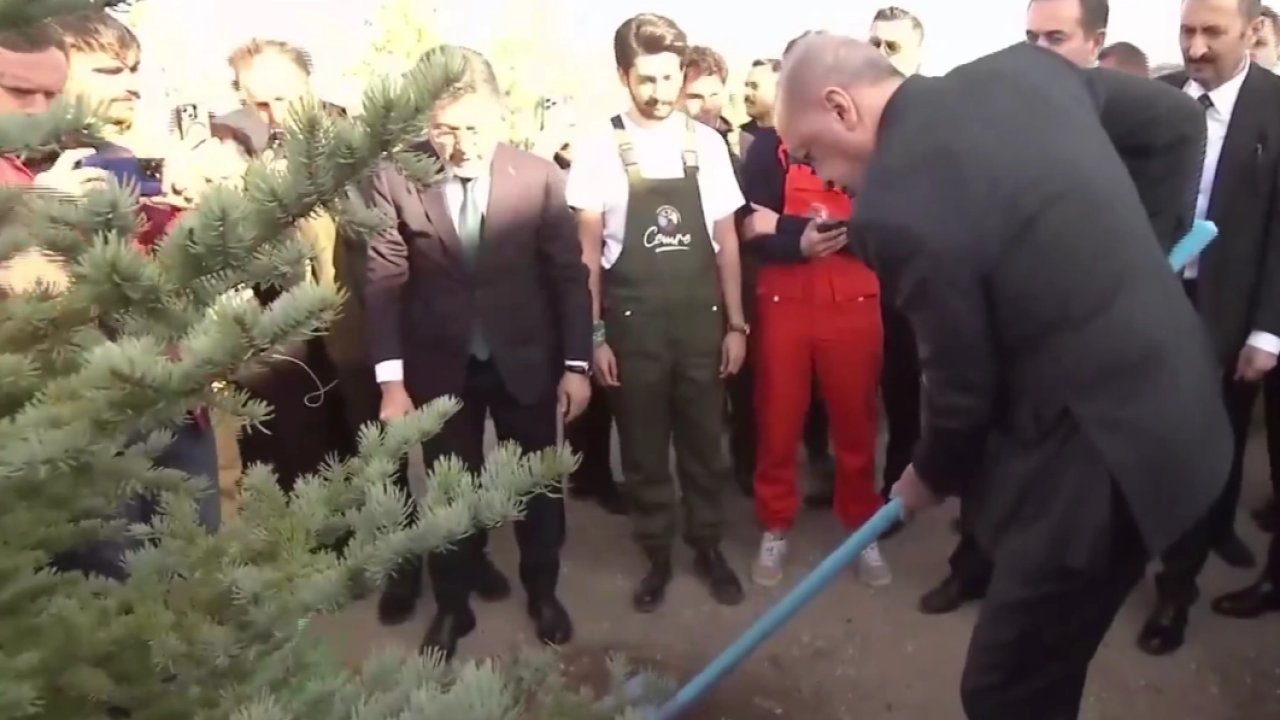 Cumhurbaşkanı Erdoğan: Her karış vatan toprağını yeşille, hayatla, umutla buluşturacağız