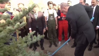 Cumhurbaşkanı Erdoğan: Her karış vatan toprağını yeşille, hayatla, umutla buluşturacağız