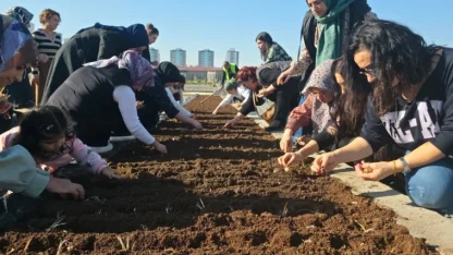 Diyarbakır Tıbbi ve Aromatik Bitkiler Atölyesi’nde safran ekimi
