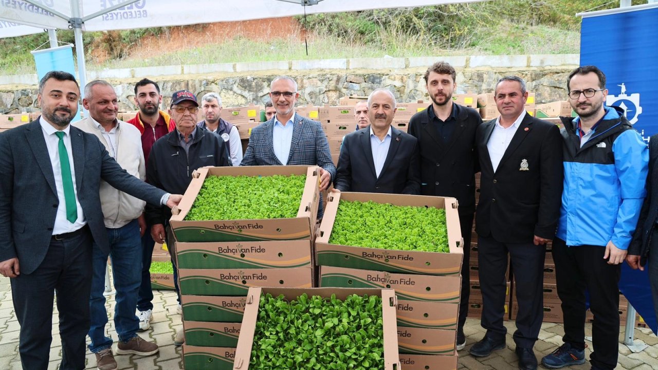 Gebze&#039;de sebze fideler dağıtıldı