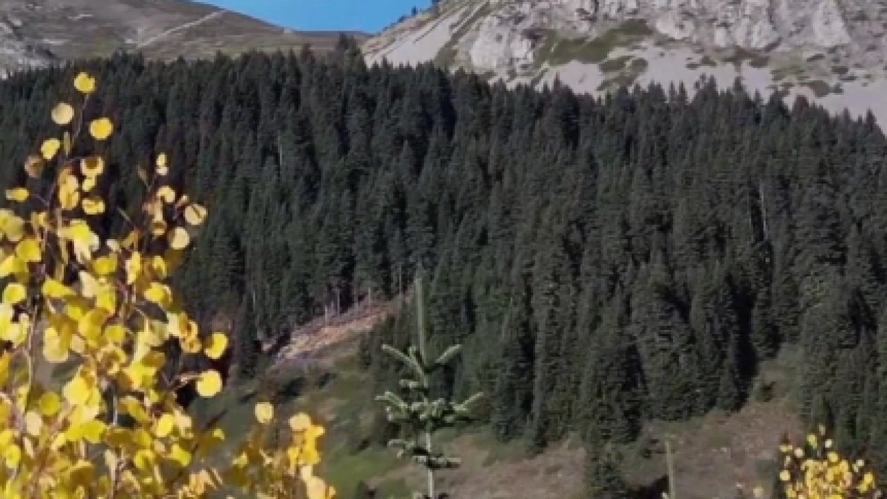 Ilgaz Dağı sonbaharda renk cümbüşü
