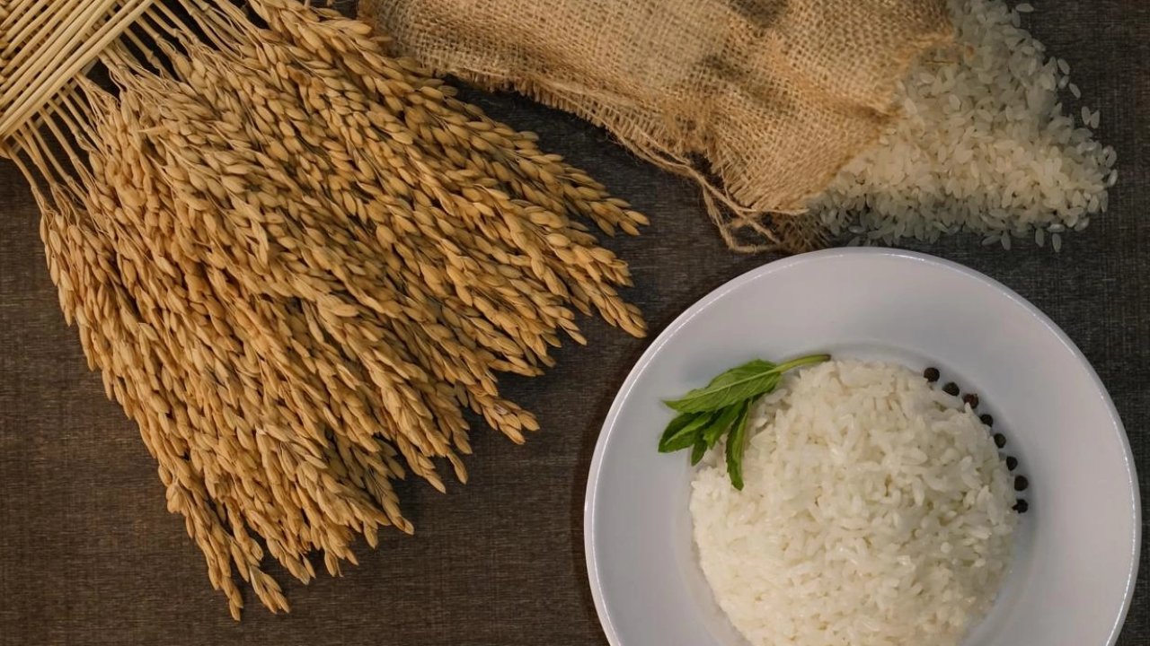 İpsala Pirinci&#039;ne AB tescili... Trakya’nın ilk ve tek AB coğrafi işaretli ürünü