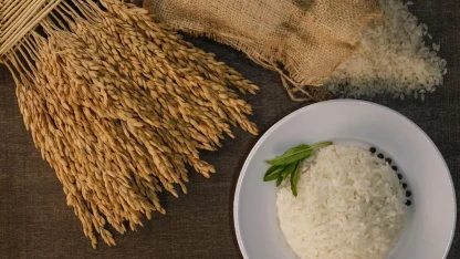 İpsala Pirinci'ne AB tescili... Trakya’nın ilk ve tek AB coğrafi işaretli ürünü