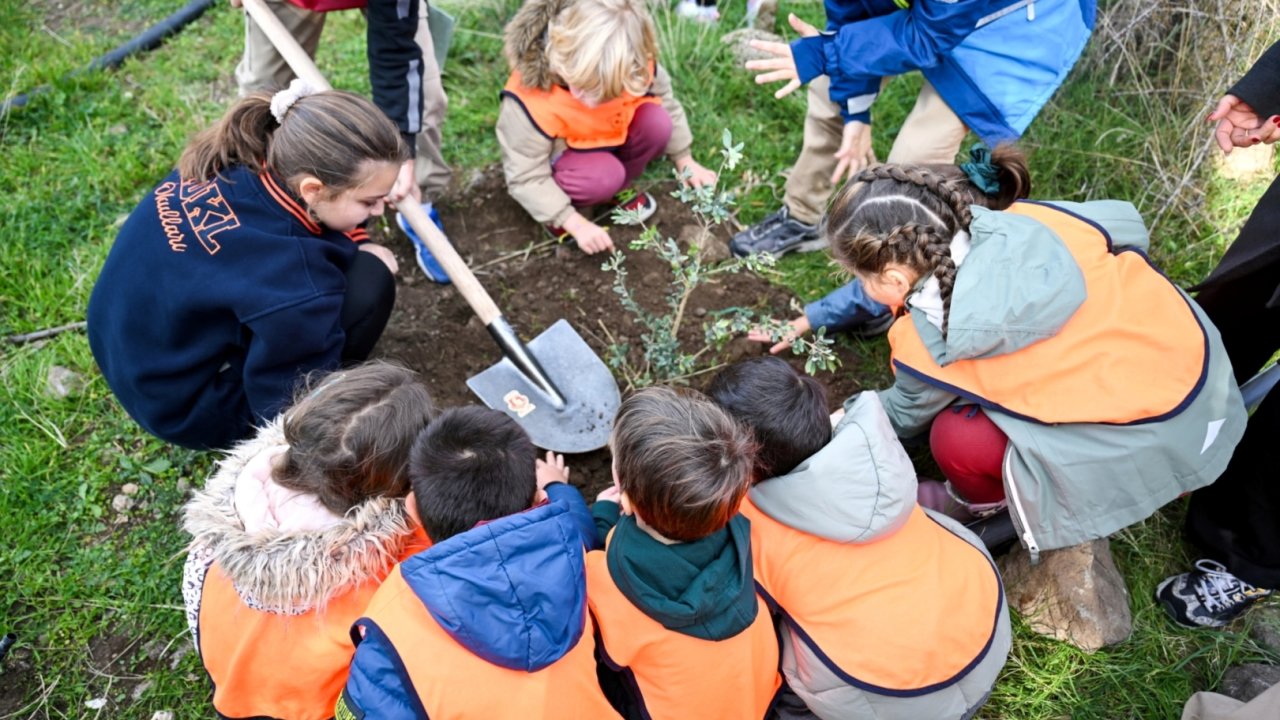 İzmir Bornova&#039;da 200 zeytin fidanı toprakla buluştu
