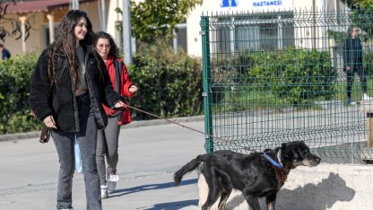 İzmir Menemen’deki yangından kurtarılan 17 hayvana Büyükşehir sahip çıktı