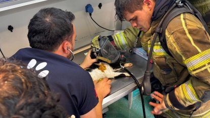 İzmir’de itfaiyeden can dostlara kahramanca müdahale