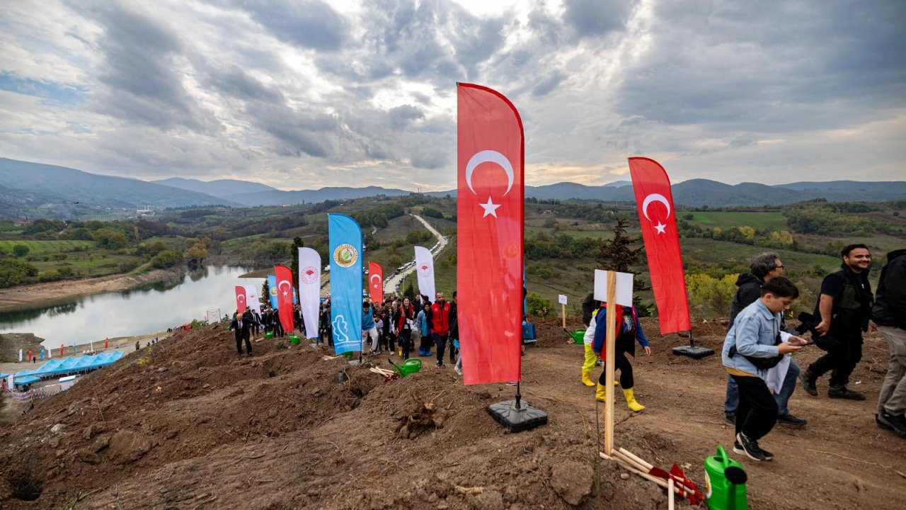 Karamürsel’de yanan bölge 3 bin fidanla yeşerecek