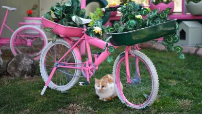 Kayseri Büyükşehir'den sokak kedilerine sıcacık yuva