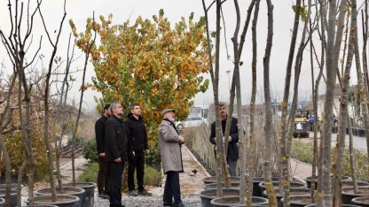 Kayseri Kocasinan şehri yeşile boyuyor