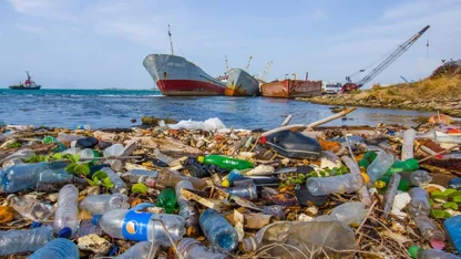 Kıyı tesisleri deniz kirliliği sigortasında teminatlar üç kat arttı