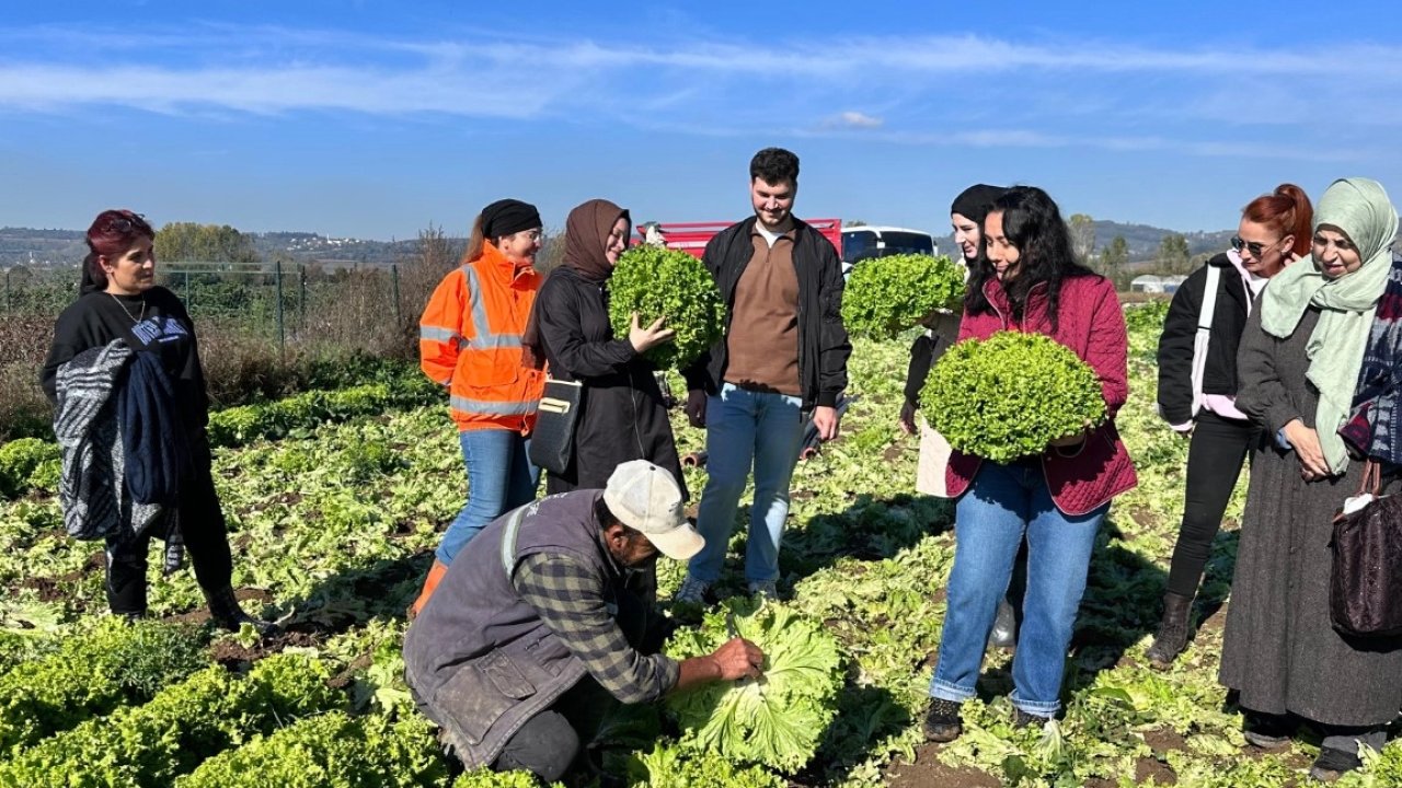 Kocaeli Büyükşehir’den aday çiftçilere uygulamalı tarım eğitimi